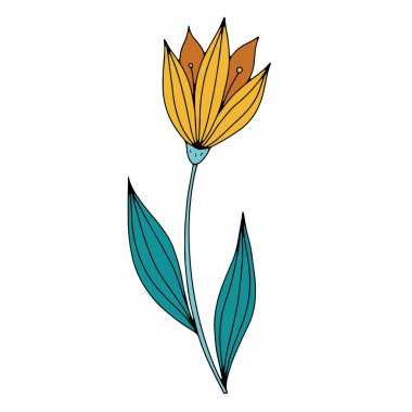 Vector doodle el çizimi çiçekler ve bitkisel tasarım elementleri. Çizgili sanat yaprakları ve çiçekli nesneler. Vektör illüstrasyonu