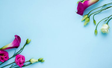 Güzel Çiçekli Daire Düzen 'i kurun. Sunum için Minimal Çiçek Çerçevesi, Sosyal Medya, Tebrik Arkaplanı. Yüksek kalite fotoğraf