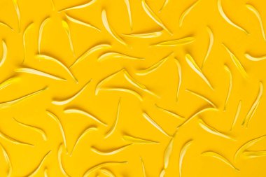 Parlak sarı çiçek yaprakları düz arkaplandaydı. Sosyal medya için yaz sarısı basit duvar kağıtları ve şablonlar. Yüksek kalite fotoğraf