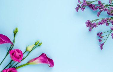 Güzel Çiçekli Daire Düzen 'i kurun. Sunum için Minimal Çiçek Çerçevesi, Sosyal Medya, Tebrik Arkaplanı. Yüksek kalite fotoğraf