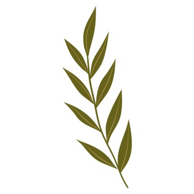 Elle çizilmiş Düz Yaprak. Doğa Yeşil Yaprak Tasarım Elementi. Vektör illüstrasyonu