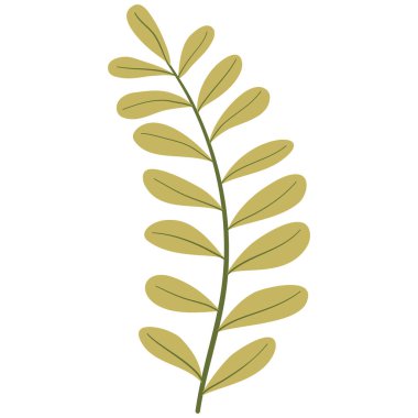 Elle çizilmiş Düz Yaprak. Doğa Yeşil Yaprak Tasarım Elementi. Vektör illüstrasyonu