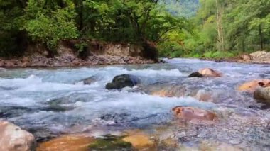 4K Mountain River Water ve Pebbles Nature Video Arkaplanı. Yüksek kalite 4k görüntü