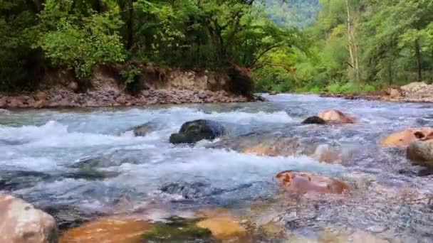 Mountain River Water Και Βότσαλα Φόντο Βίντεο Της Φύσης Υψηλής — Αρχείο Βίντεο