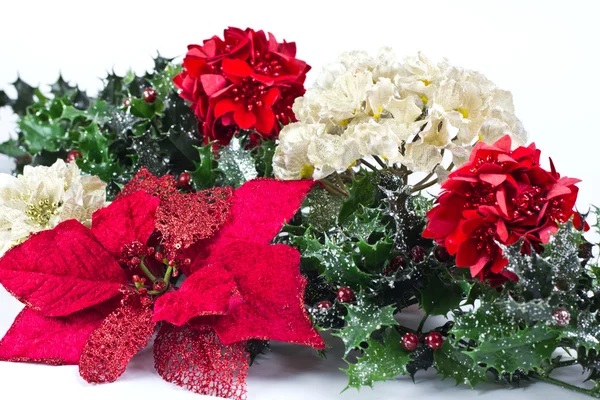 Christmas Poinsettia — Stock Photo, Image