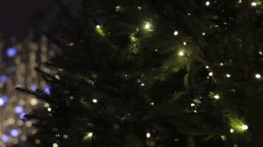 Tarihi çeyrek dekore edilmiş sokak görünümü