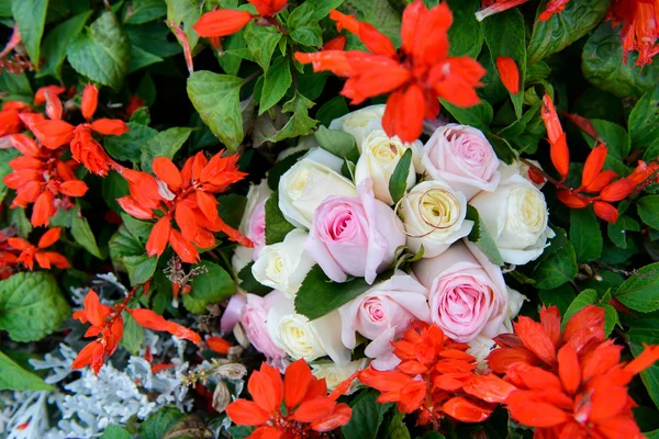 Anneaux de mariage sur un bouquet de roses — Photo