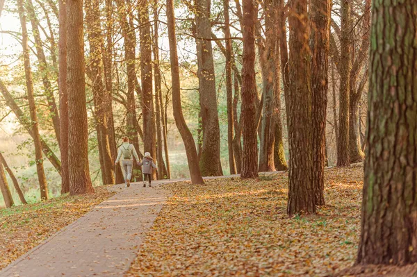 Mutter Und Tochter Spazieren Herbst Händchen Haltend Durch Den Kiefernpark — Stockfoto