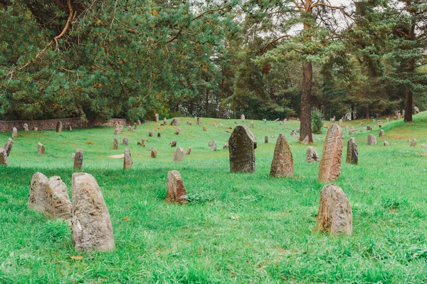 Cimitero Ebraico Gli Ebrei Del Ghetto Furono Raccolti Vicino Fiume — Foto Stock