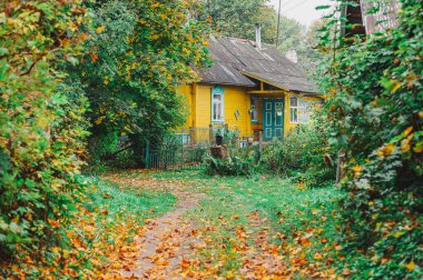Belarus, Druya köyü manzarası. Kötü bir sonbahar günü