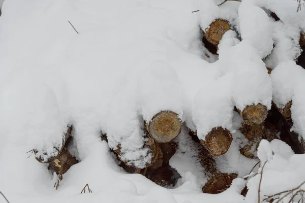 Um close-up de uma pilha de troncos de madeira cobertos com uma espessa camada de neve — Fotografia de Stock