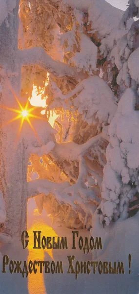 Ukraynalı Noel tebrik kartı — Stok fotoğraf