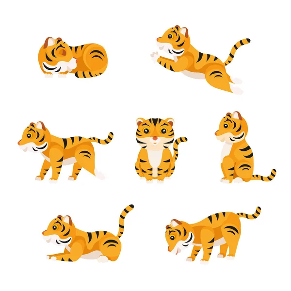 Lindos Tigres Dibujos Animados Diferentes Poses Conjunto Vectorial Aislado Sobre — Vector de stock