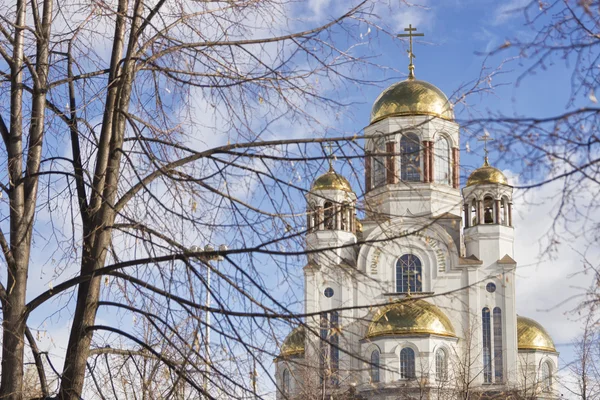 Kirche auf Blut zu Ehren aller Heiligen, die in Russland erstrahlen — Stockfoto