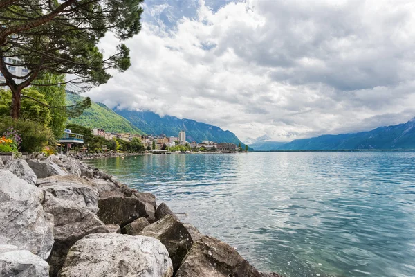 Květiny a stromy poblíž jezera, montreux. Švýcarsko — Stock fotografie