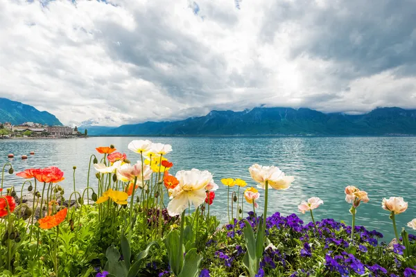 호수, 몽트뢰 근처 꽃입니다. 스위스 스톡 사진