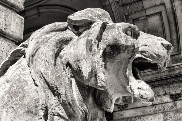 Lion statue, budapest — Stock Photo, Image