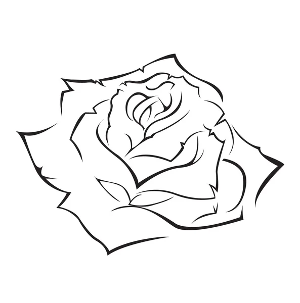 Rose vectorillustratie — Stockvector