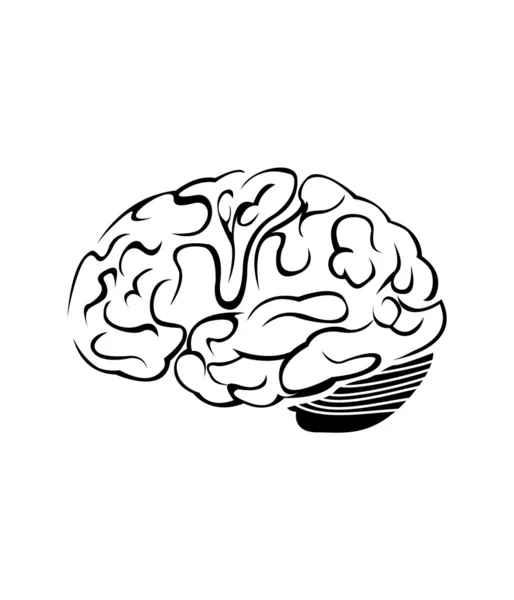 Símbolo cerebral Vector Ilustración — Archivo Imágenes Vectoriales