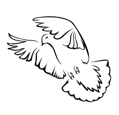 basit sembol barış güvercini