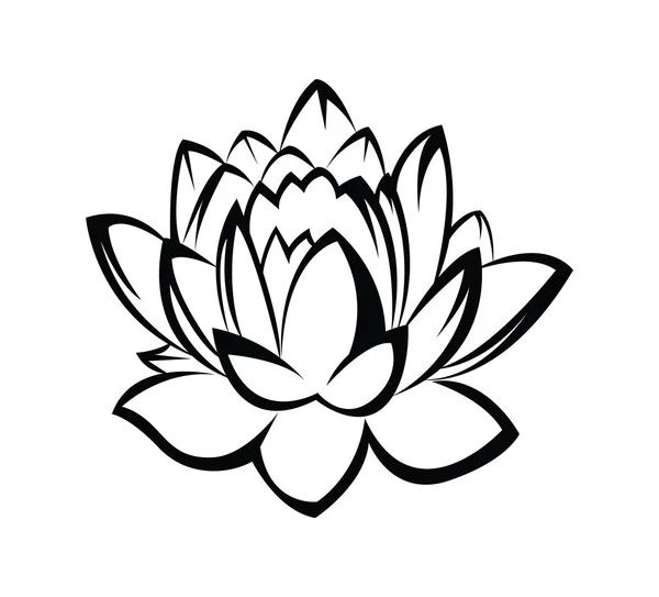 Lotus fleur — Image vectorielle