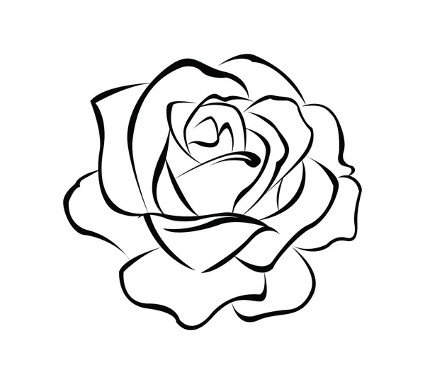 Rosa flor — Vetor de Stock
