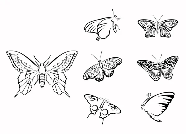 Butterfly Set Collection — Stock Vector