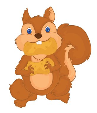 Squirell