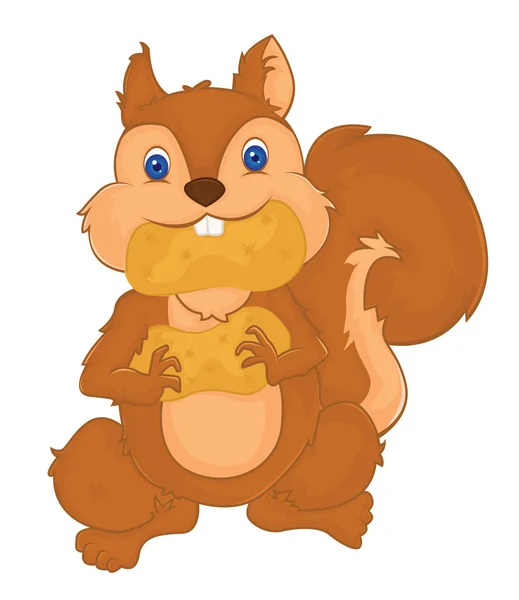 Squirelltoothbrushe — Stockvector