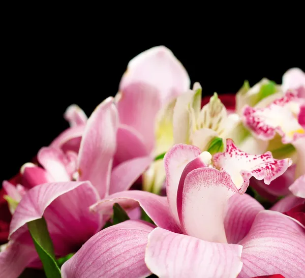 Bouquet — Stock Photo, Image