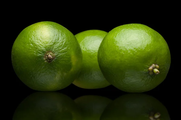 Three limes — Stock Photo, Image