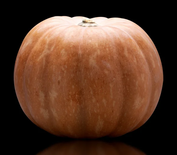 Nagy pumpkin — Stock Fotó