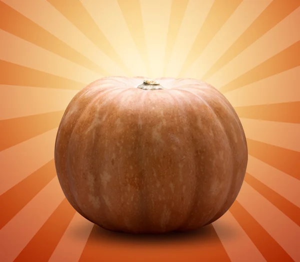 Nagy pumpkin — Stock Fotó