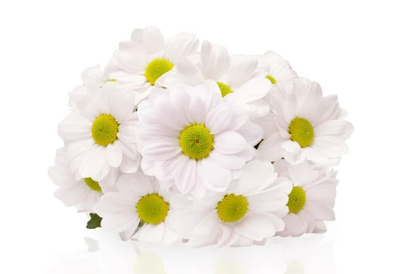 Bouquet of pink chrysanthemums — Stock Photo, Image