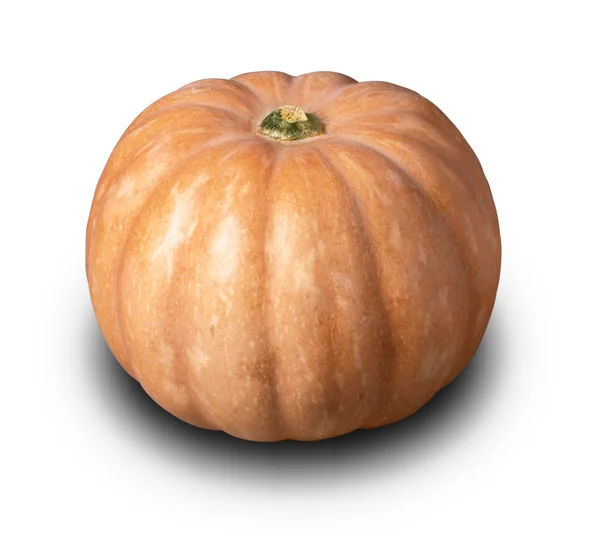 Nagy pumpkin — Stock Fotó