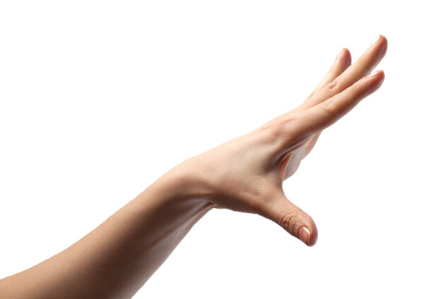 Женская рука