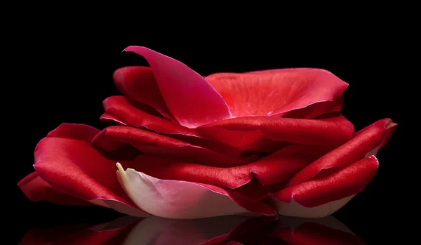 Handful of rose-petals on black — Stock Photo, Image