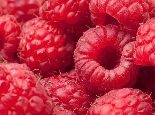 Background raspberry — Stock Photo, Image