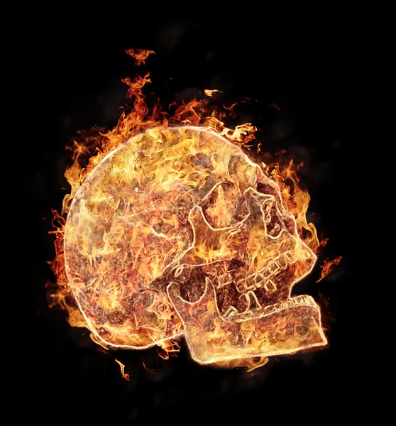 Branderig skull — Stockfoto