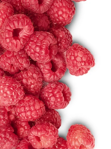 Background from ripe raspberry — Stock Photo, Image