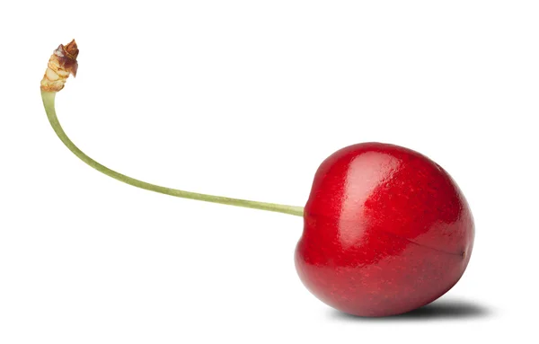 Cherry berry — Stock Photo, Image