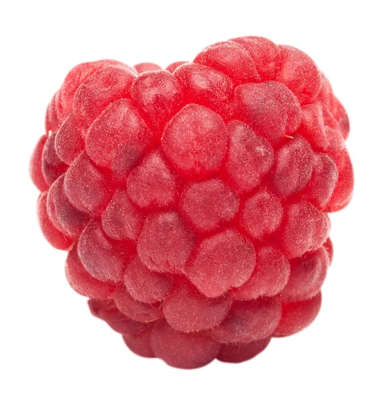 One ripe raspberry — Stock Photo, Image