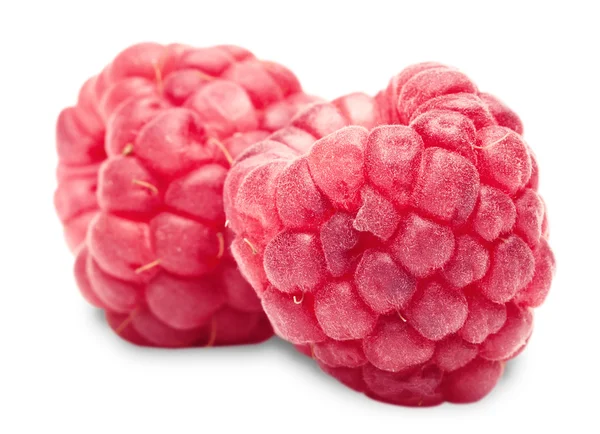 Two ripe raspberry — Stock Photo, Image