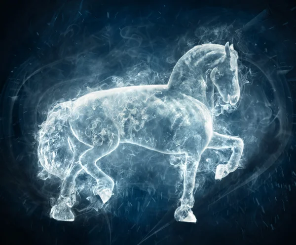 Άλογο σε μπλε φόντο — Φωτογραφία Αρχείου