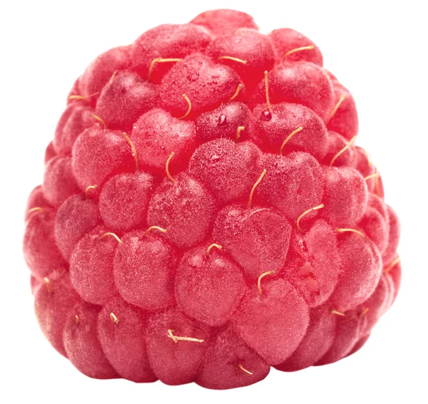 One ripe raspberry — Stock Photo, Image