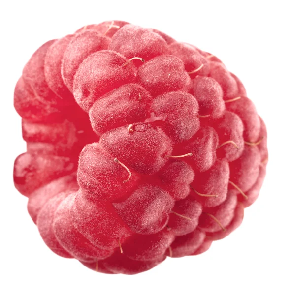 One ripe raspberry — Stock Photo, Image