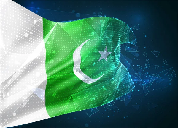 Pakistan Vektör Bayrağı Mavi Arkaplan Üzerinde Üçgen Çokgenlerden Sanal Boyutlu — Stok Vektör