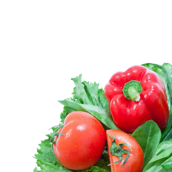 Verduras frescas coloridas aisladas — Foto de Stock