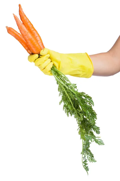 Mão de luva segurando uma cenoura isolada no fundo branco — Fotografia de Stock