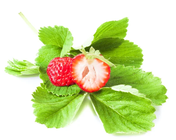 Macro fraises avec feuilles isolées sur blanc — Photo